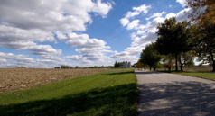 Farm Park Path